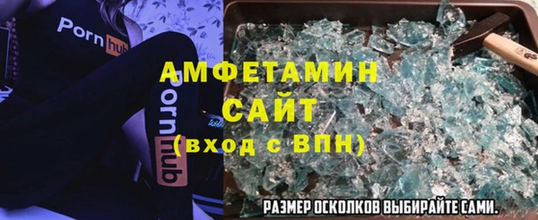 шишки Белокуриха